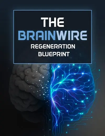 Audifort bonus- The Brainwire